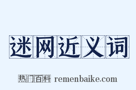 迷网近义词是什么意思的图片